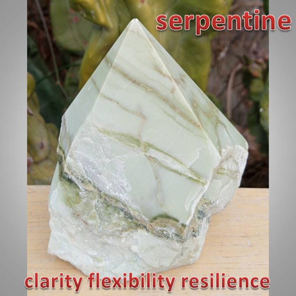 #1 serpentine point clarity focus problem solving CHAKRA